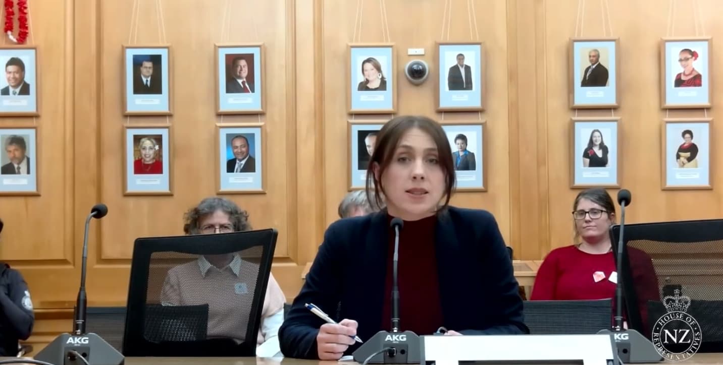 Oral submission on the Regulatory Standards Bill