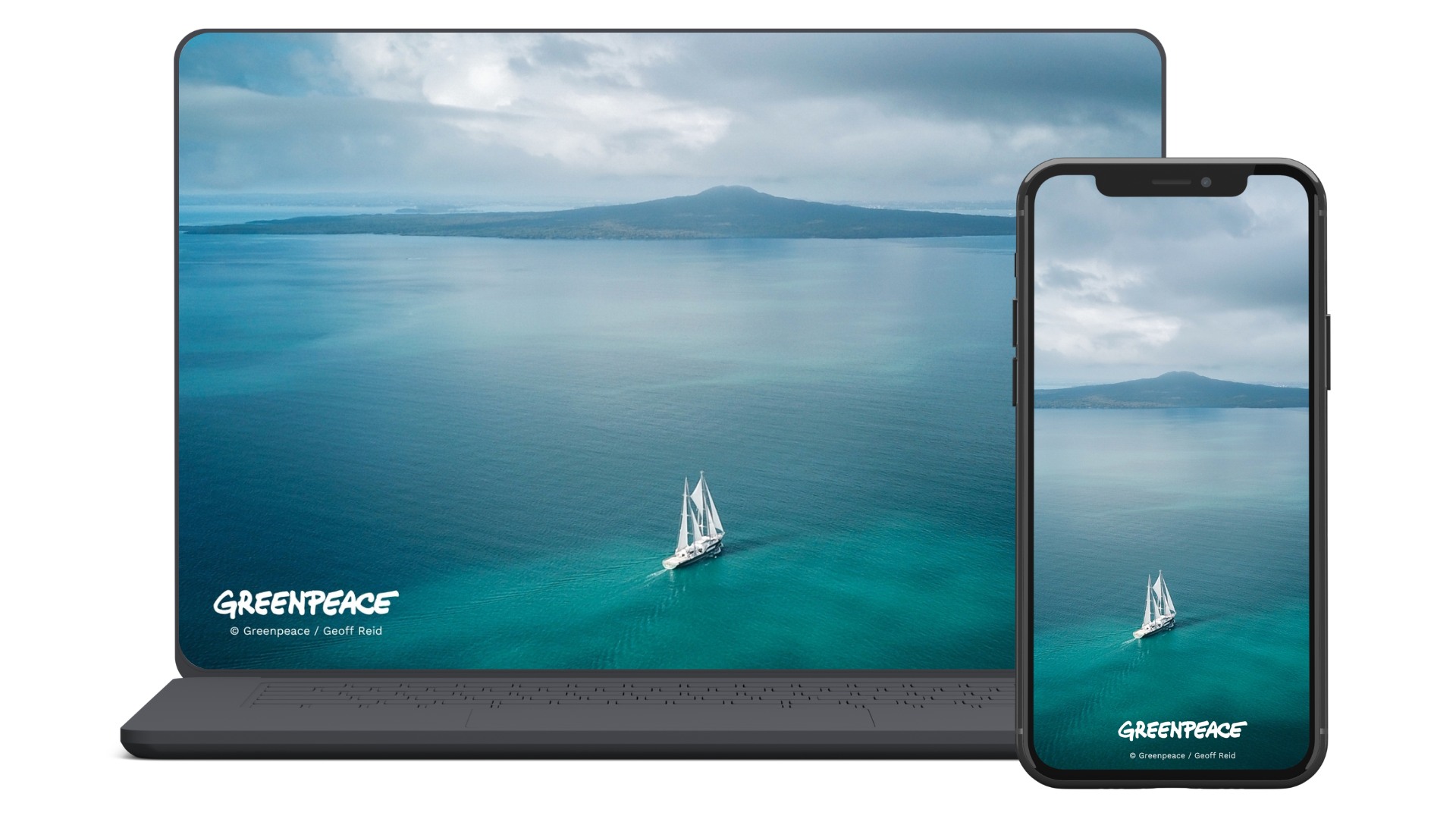 Monthly wallpaper downloads