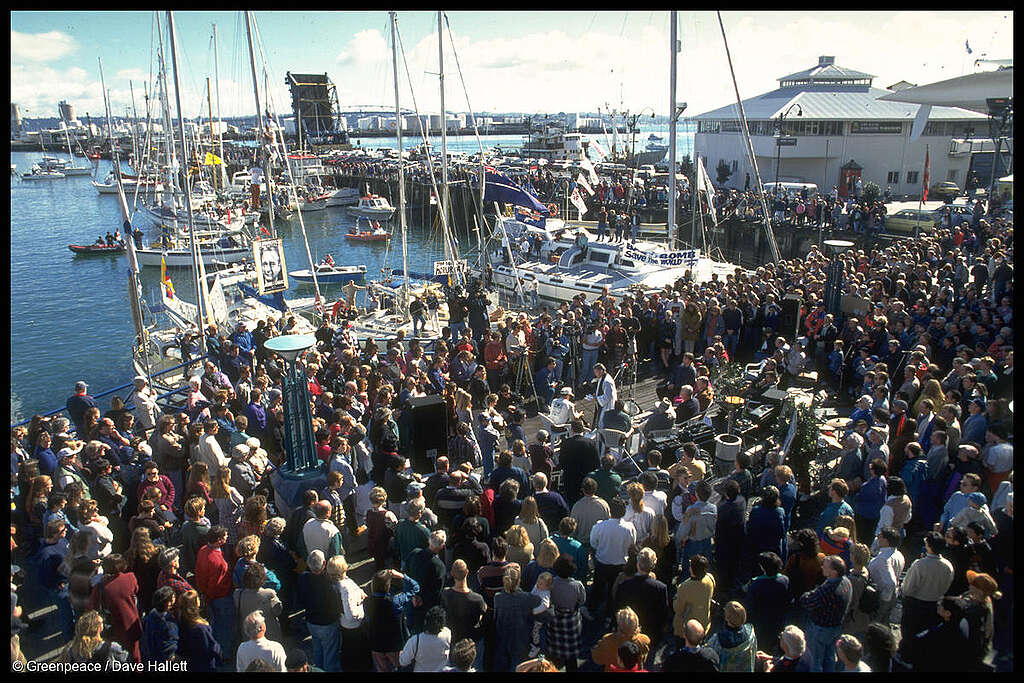 On Hiroshima Day 1995, Greenpeace Campaign Manager Michael Szabo joined Prime Minister Jim Bolger and opposition party leaders to farewell the Pacific Peace Flotilla yachts before they departed Auckland bound for Moruroa Atoll.