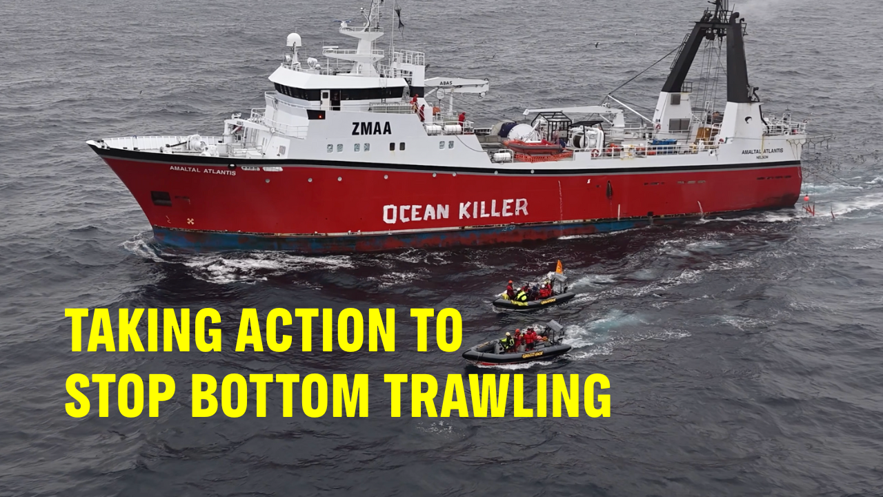 VIDEO Taking action to stop bottom trawling