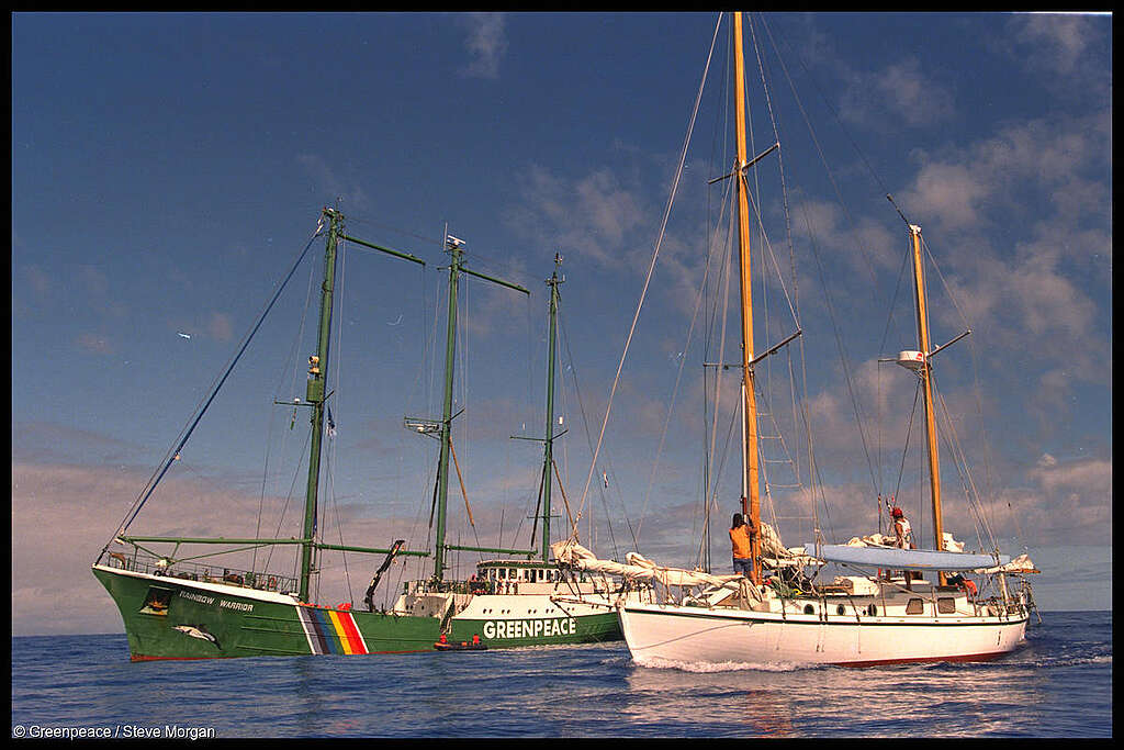 SV Rainbow Warrior II and Vega rendezvous off Moruroa Atoll.