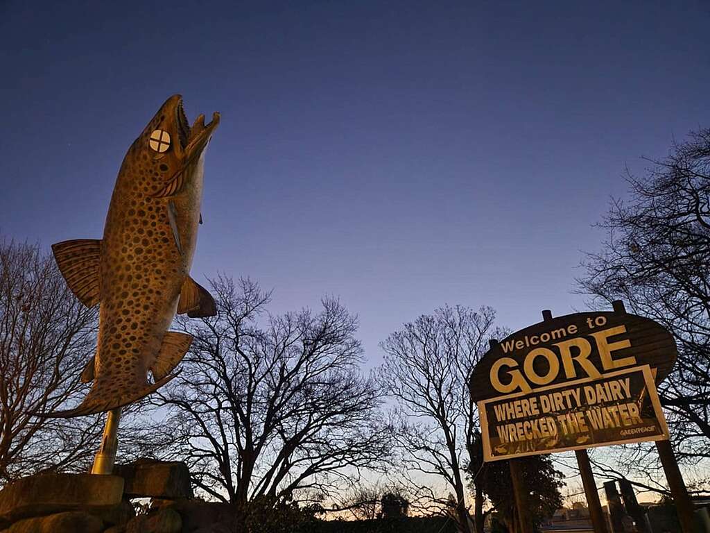 In the early morning light, Gore’s brown trout statue with cartoon-style crosses for eyes alongside the welcome to Gore’ sign, which now reads ‘Welcome to Gore - where dirty dairy wrecked the water’.