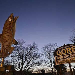 Gore’s iconic brown trout statue latest victim of township’s drinking water crisis