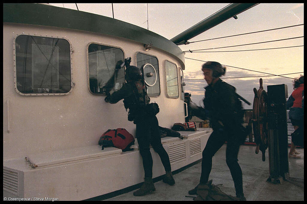 Armed French commandos preparing to smash the windows on the bridge and throw in tear gas grenades during the storming of the Rainbow Warrior (Photo: Greenpeace/Steve Morgan).