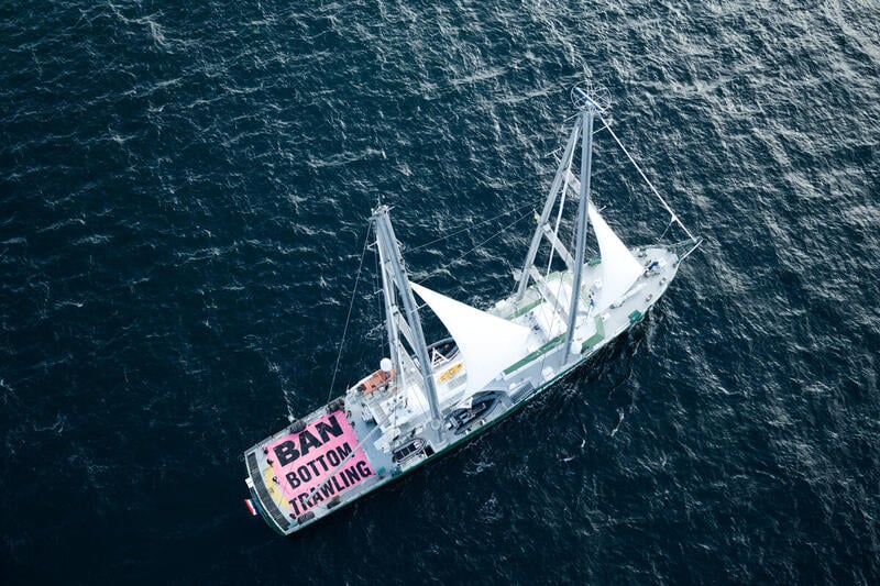 Alliance renews call for bottom trawling ban in Hauraki Gulf