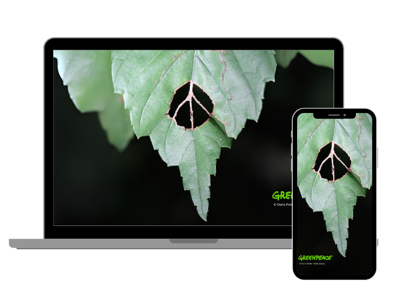 An image of a laptop and phone displaying the digital wallpapers. This month, it is a lead with a peace symbol.