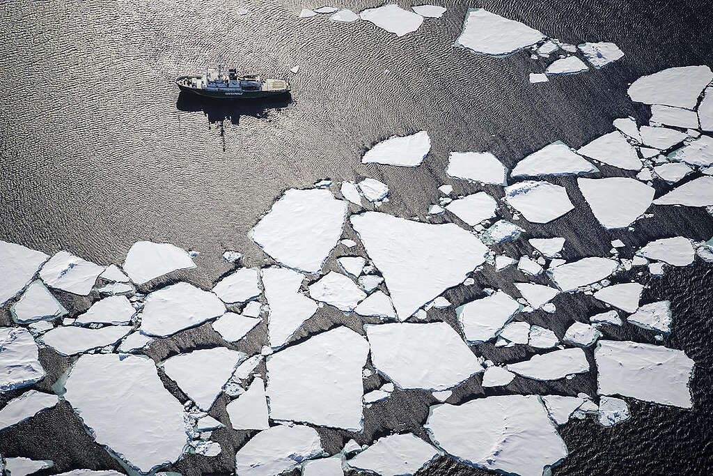 MY Esperanza at Svalbard Ice Edge. © Will Rose / Greenpeace