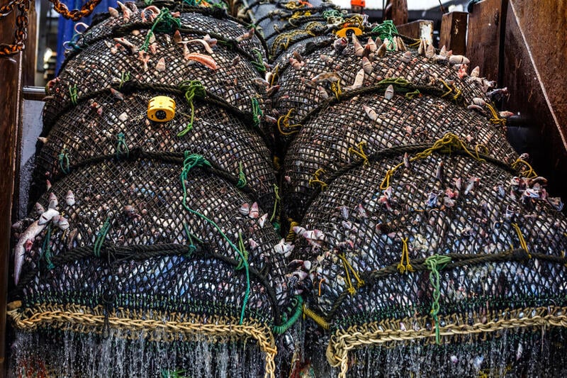 Jones moves to green light ocean destruction through reforms