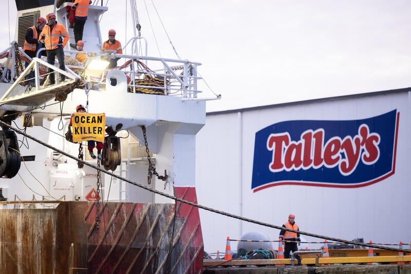 Greenpeace activists stop Talley’s trawler from leaving Nelson port, branding it an ‘ocean  killer’