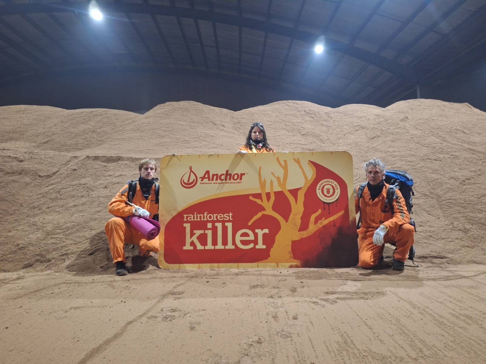 Taranaki, New Zealand - Greenpeace Aotearoa activists have occupied the storage facility of Fonterra’s biggest palm kernel supplier and locked themselves to pillars stopping a ship from Indonesia carrying 30 thousand tonnes of palm kernel expeller from unloading. Meanwhile, another team of activists dressed as orangutan climbed onto the roof of the Agrifeeds facility and deployed a 500 square meter banner that reads ‘Anchor Rainforest Killer’. The Greenpeace activists are protesting against the use of palm kernel as cow feed on Fonterra farms due to the product’s links to illegal palm plantations and deforestation of paradise rainforests in Southeast Asia.