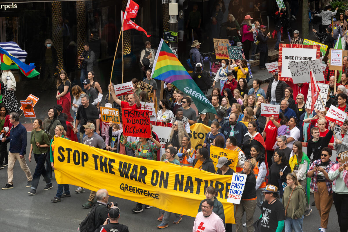 March for Nature in Auckland. © Shelton Neho / Greenpeace