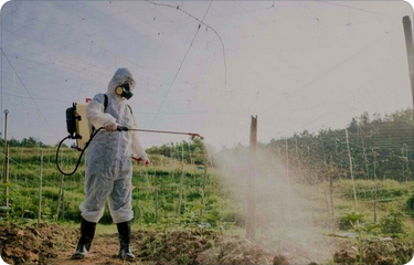 ‘Tough on crime’ Government lets repeat pesticide offenders off the hook