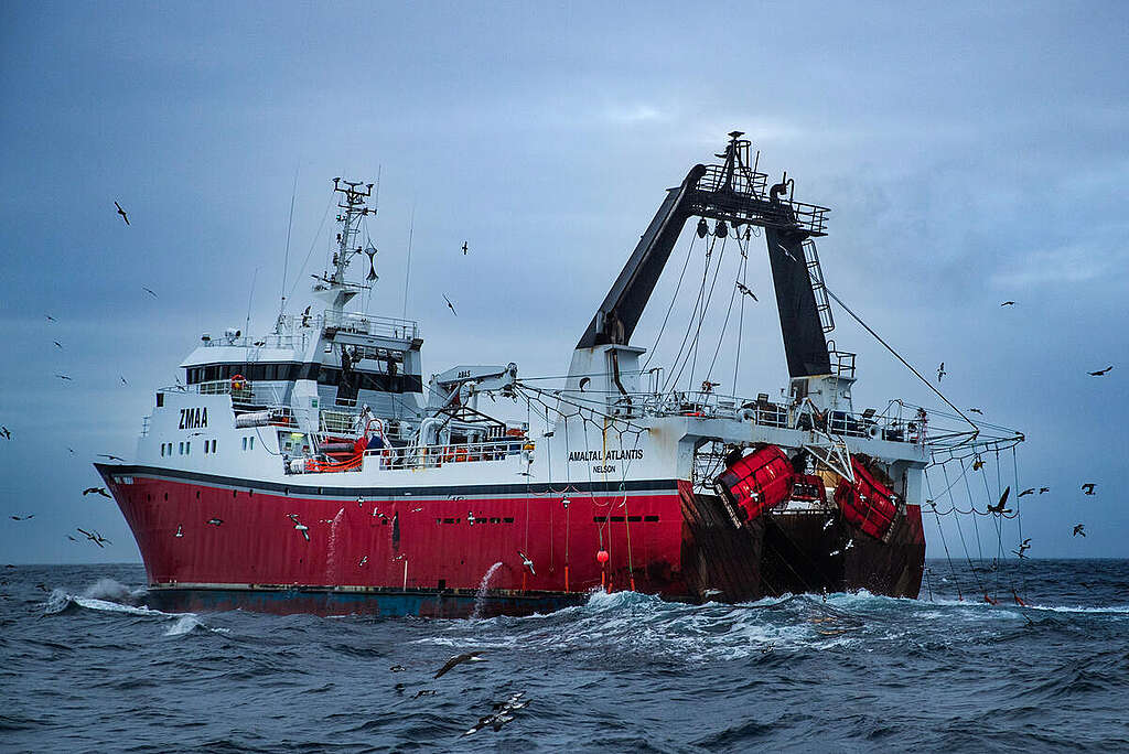 Bottom Trawling in New Zealand. © Paul Hilton / Greenpeace