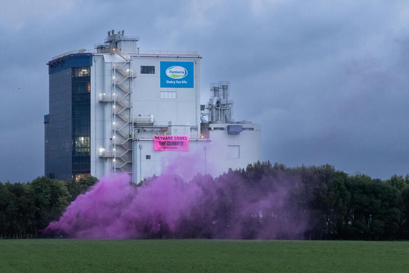 Five Greenpeace New Zealand climbers scale the Te Rapa Fonterra milk processing factory to unfurl a banner reading "Fonterra methane cooks the climate", in a protest against livestock emissions.
A big pink banner is visible halfway up a large factory building. The Fonterra logo is visible at the top of the factory. There is pink smoke blowing in front of the building.