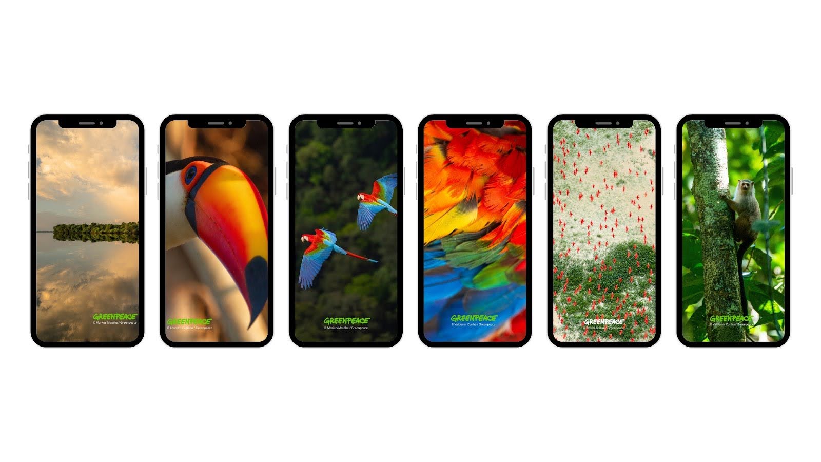 Monthly wallpaper downloads