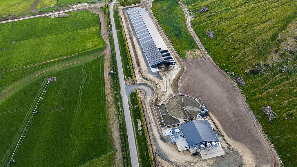 The Wongan Hills dairy conversion in the Kaituna Valley in Canterbury.
