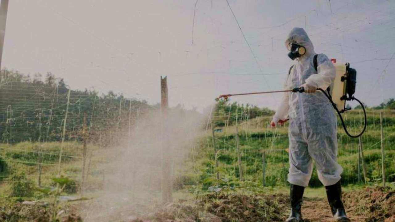 STOP LUXON’S TOXIC COVER-UP