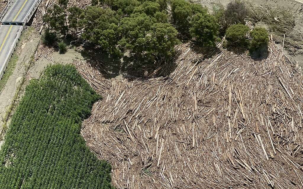 Aerial shot of forestry slash.
