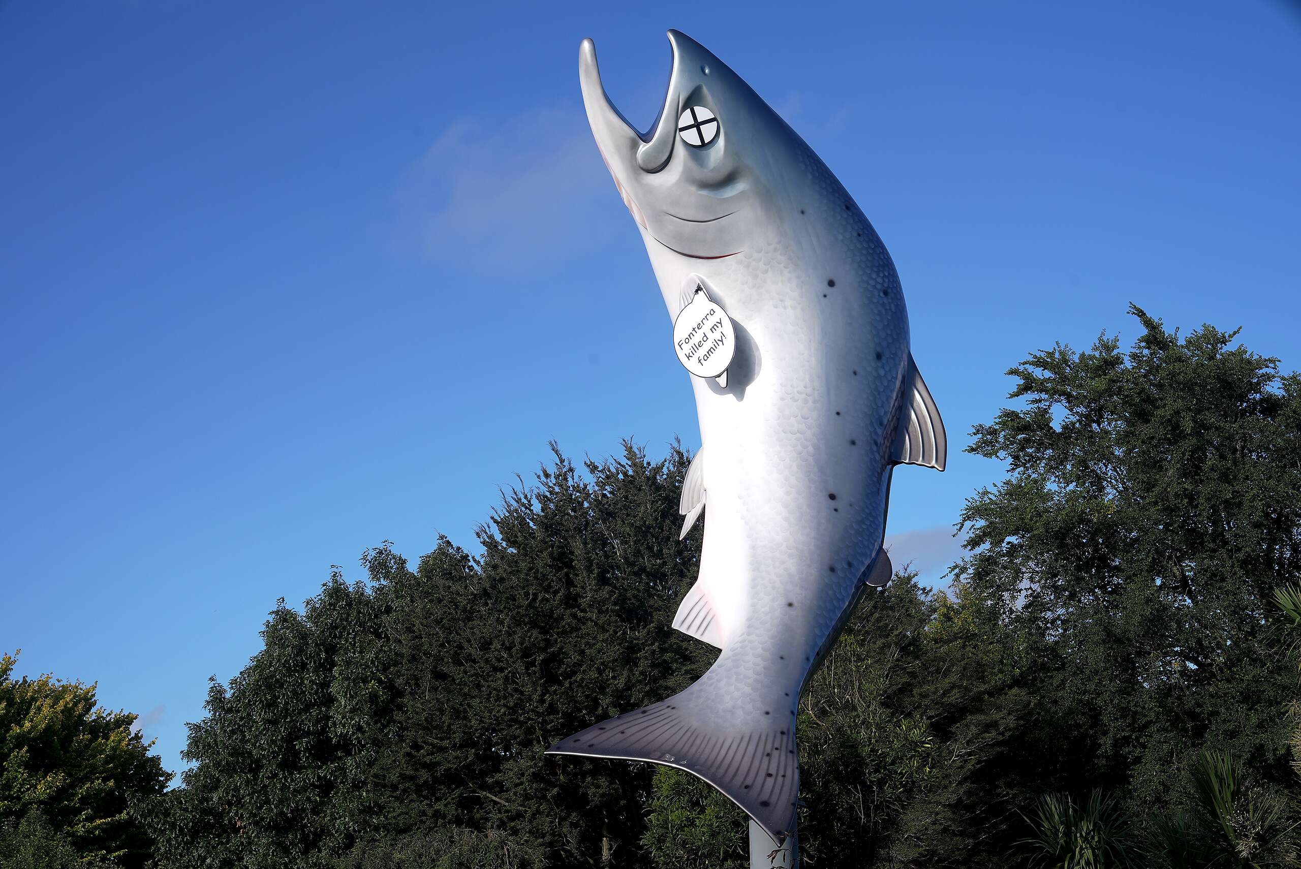 Greenpeace alters Rakaia salmon statue, says ‘Fonterra killed the fish’.