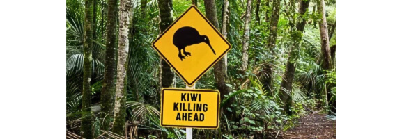 From wildlife protection to license to kill