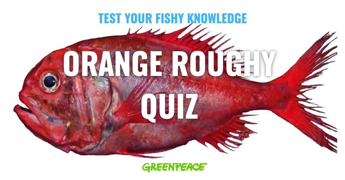 QUIZ: Test your fishy knowledge of orange roughy