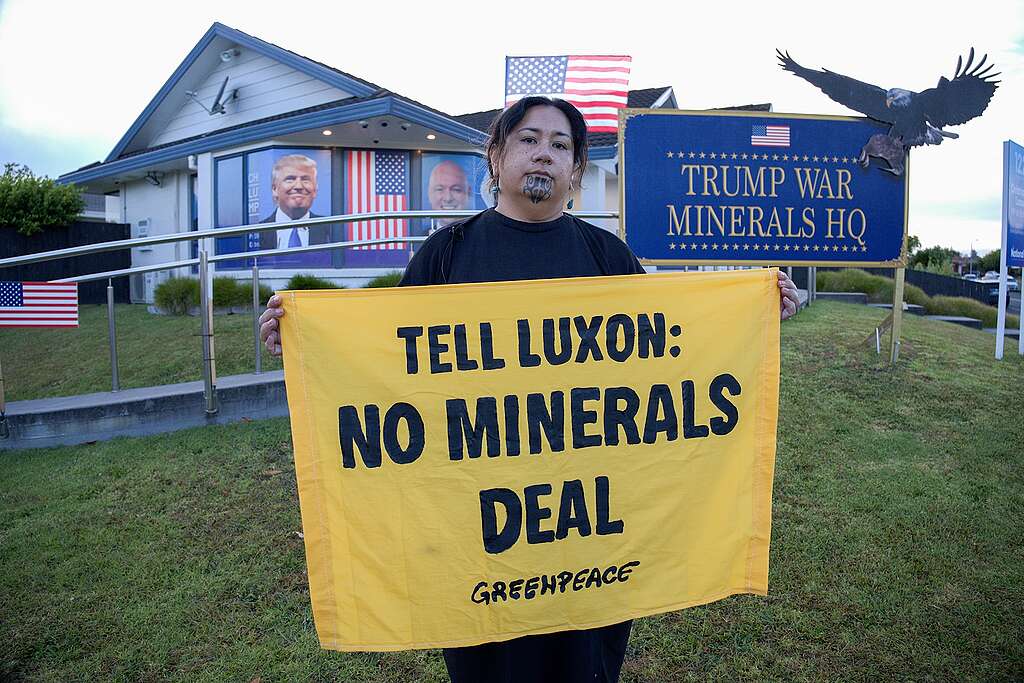 Campaigner Juressa Lee with a banner in front of Prime Minister Luxon's electorate office: Tell Luxon, no minerals deal Foreground: Greenpeace campaigner Juressa Lee with banner: TELL LUXON: NO MINERALS DEAL
In background: a house with Trump's face and PM Christopher Luxon's face on windows; US flags on lawn; a sign saying TRUMP WAR MINERALS HQ