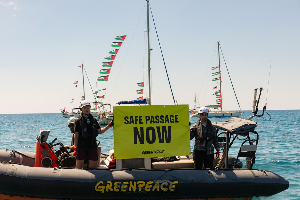 Greenpeace calls on governments to ensure safety of Global Sumud Flotilla attacked by Israeli armed forces