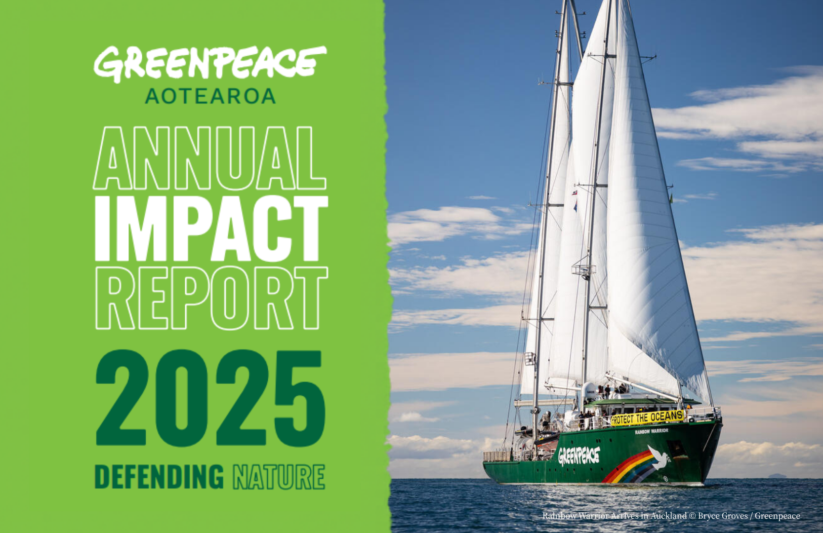 2025 Annual Impact Report