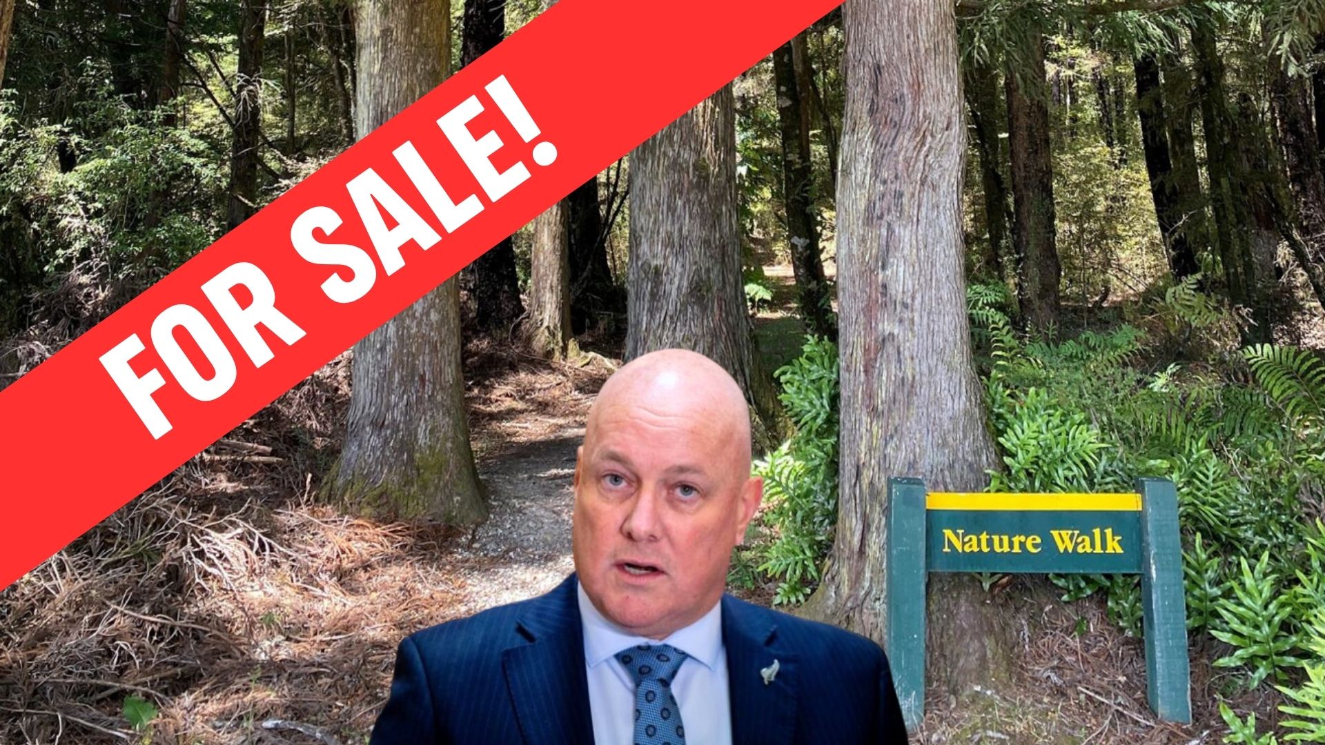 Forest with for sale sign and PM head and shoulders