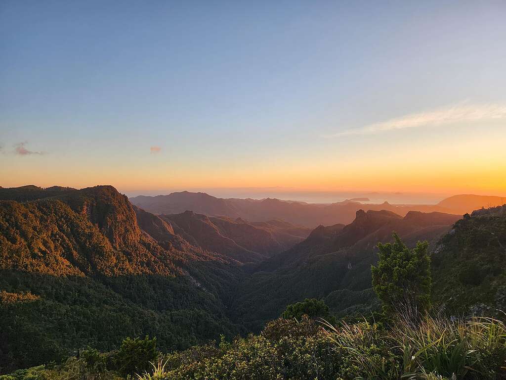 A sunset view over ranges, tussock in foreground