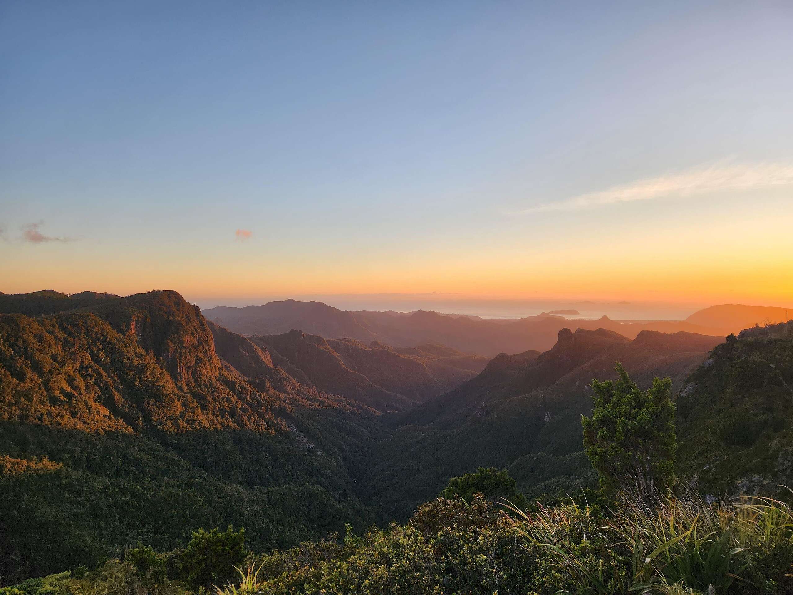 Potaka announcement not enough, scrap Conservation Bill says Greenpeace