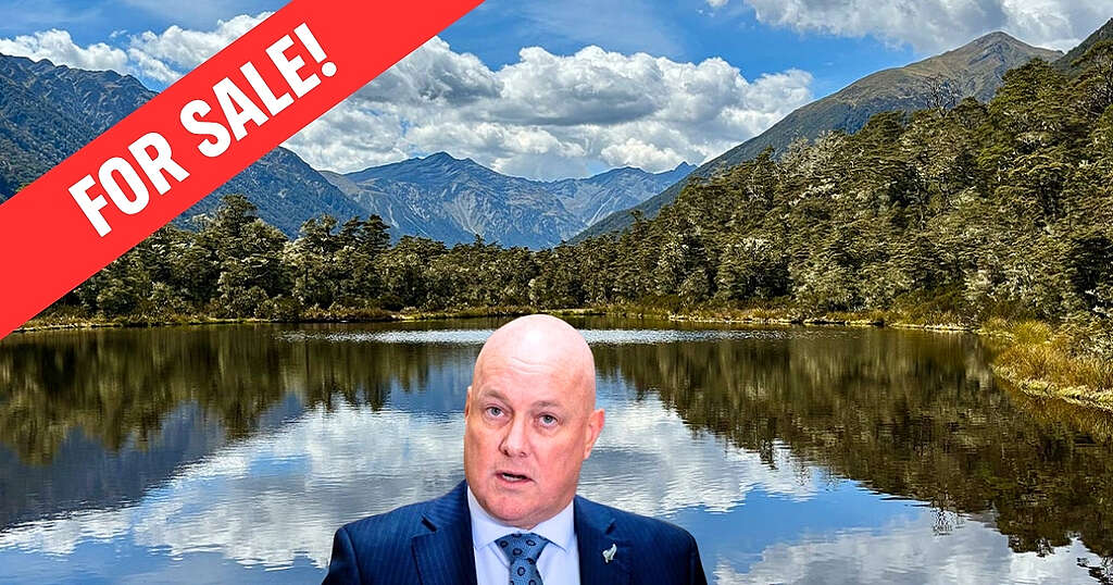 PM Luxon against a beautiful nature background and a FOR SALE banner