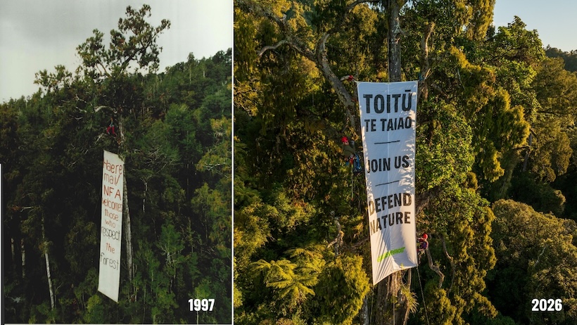 On World Nature Conservation Day, 28 July 2026, Greenpeace Aotearoa recreated an iconic image from an environmental protest.
In 1997, Native Forest Action activist Pat McNamara was photographed suspended high in the canopy during a five-month occupation to stop the logging of ancient West Coast forests.
That image inspired people across the country and the campaign went on to win an end to native forest logging on public land.
Now it's our turn to step up and defend nature.
The Coalition Government's Conservation Amendment Bill threatens to undo decades of conservation progress by making it easier to commercially exploit—and even sell off—public conservation land.