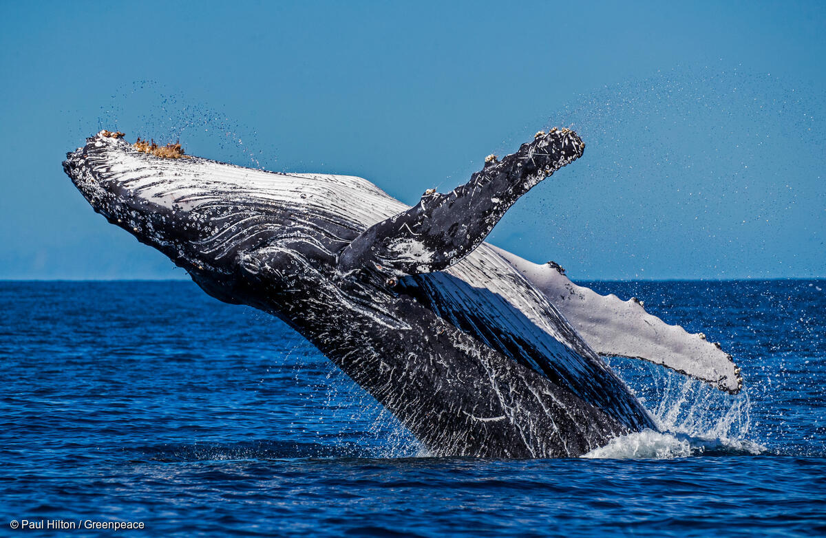 Halfway through 2026: Here’s how we’re shaping the future of our planet, together