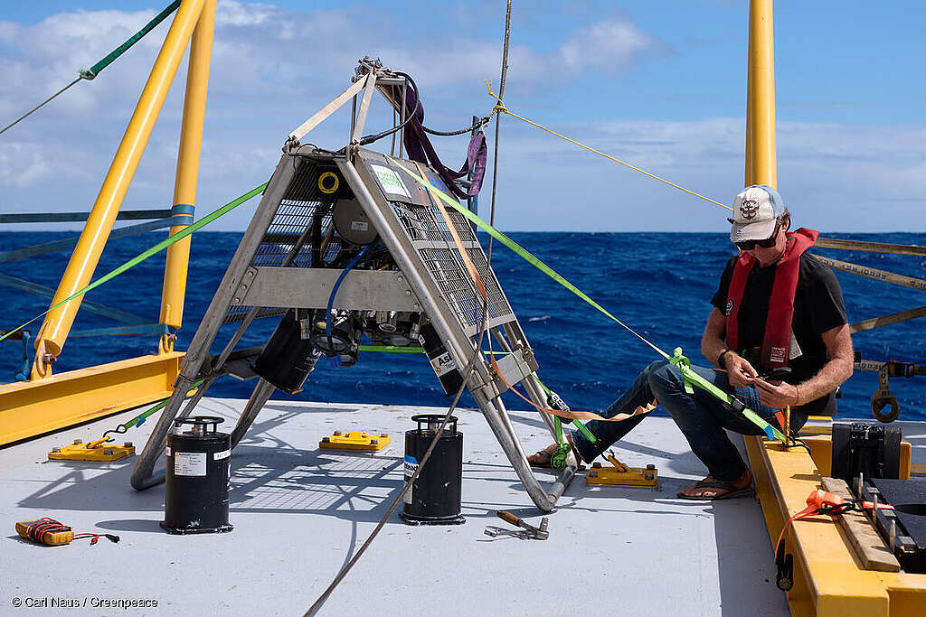 A member of the Greenpeace seamount expedition prefers an underwater camera for launch