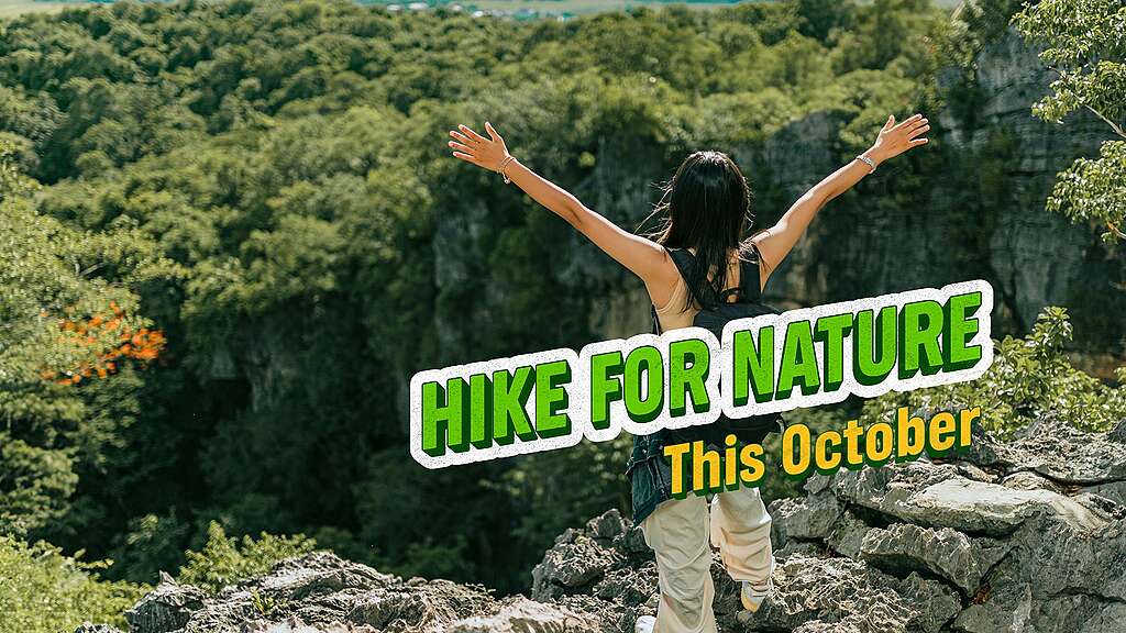 A hiker looks out across an incredible view of NZ nature, with the Hike for Nature logo