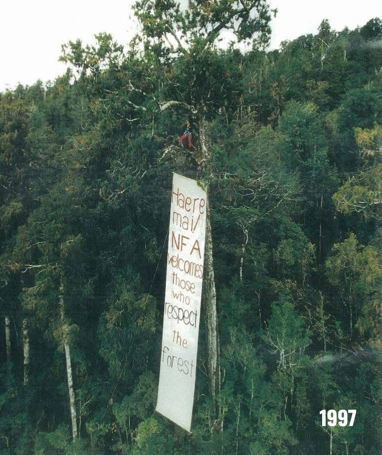 Tree defenders 1997 A long banner in a tree with forest background - caption says 1997 - banner says: Haere mai / NFA welcomes those respect the forests