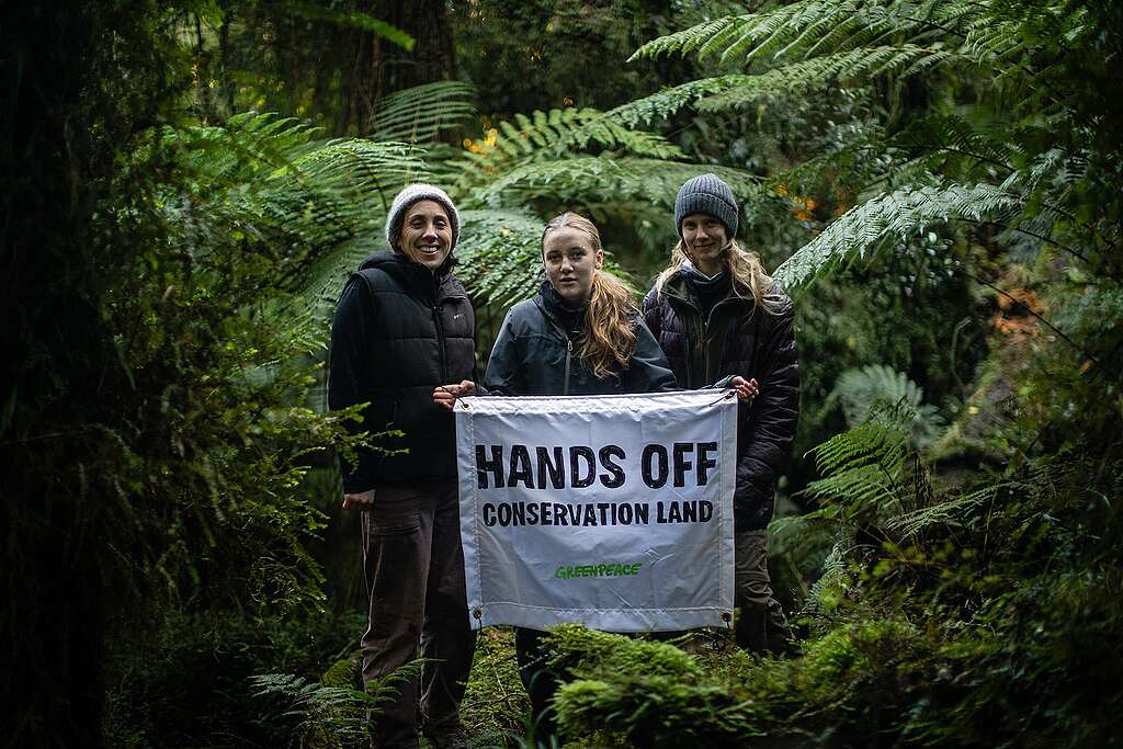 Tree defenders conservation land Gen Toop