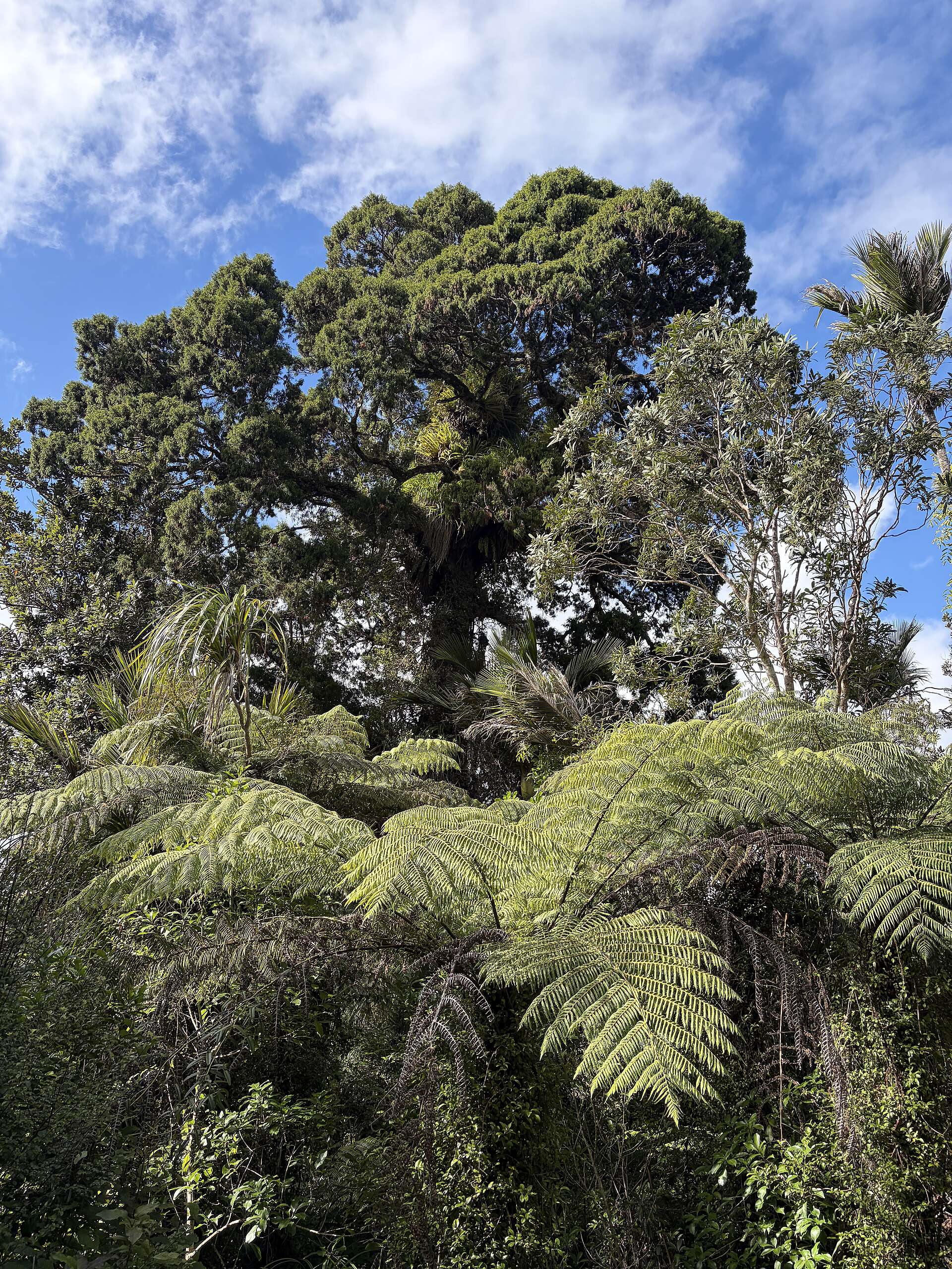 Waitakere