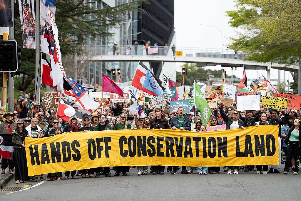 A long yellow banner in front of crowd that says Hands off conservation land
