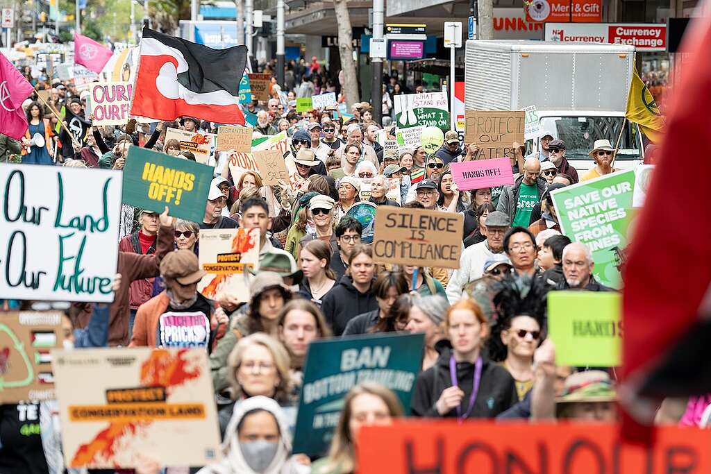 A large crowd of people with placards and flags