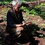 “Se beneficia el suelo, bajás los costos y mejorás la calidad del alimento”
