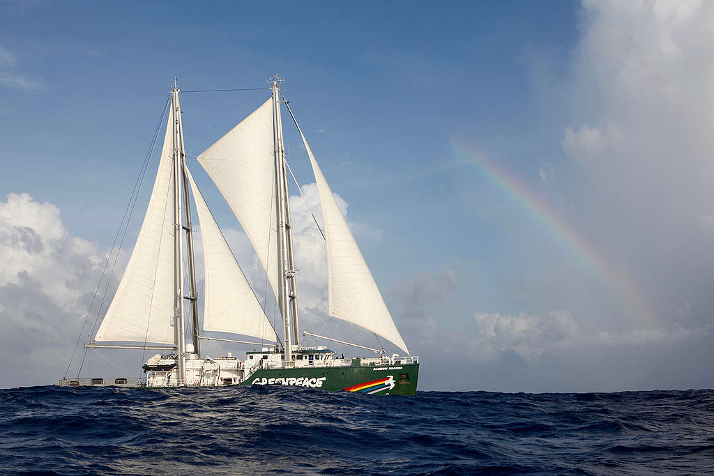 Barco Rainbow