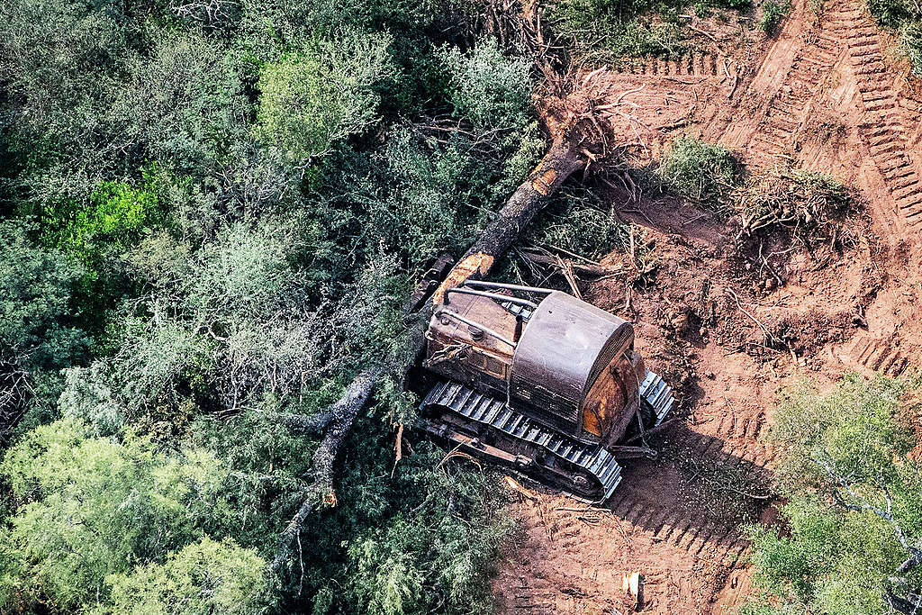 Topadora deforestando en Chaco.