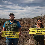 <strong>A 15 años de la Ley de Bosques, es clave penalizar los desmontes ilegales</strong>