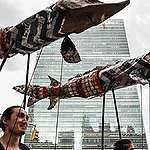 Activistas protestan ante la sede de la ONU en Nueva York y denuncian “el estancamiento” del Tratado de Océanos