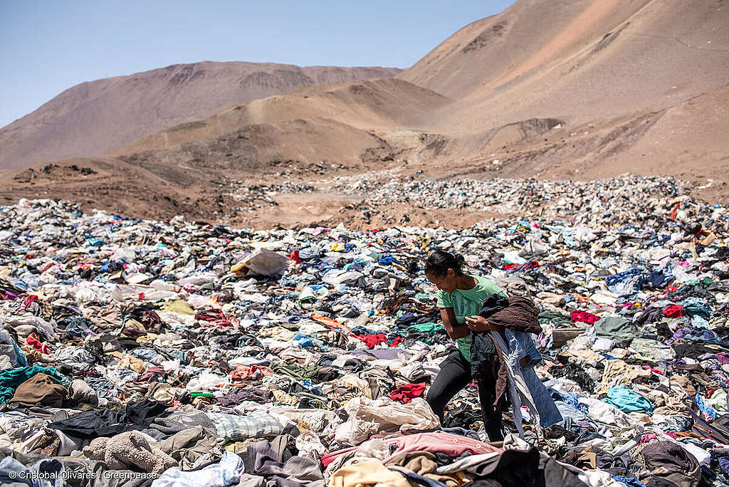 Greenpeace Argentina | El costo ambiental de la moda rápida, cuando lo  barato sale caro￼