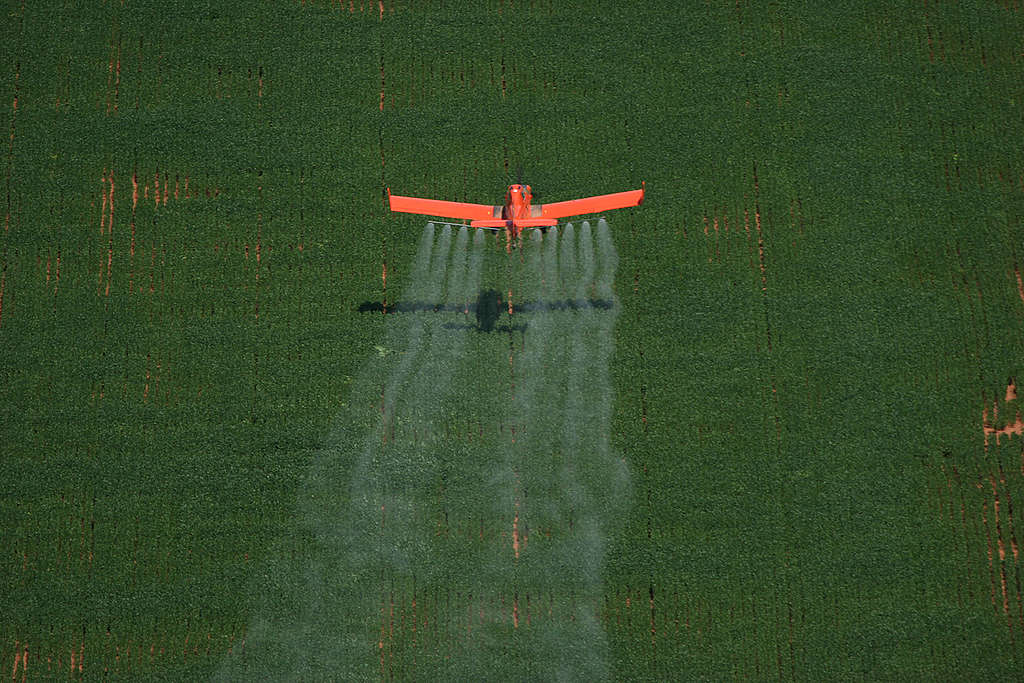 Cultivo de soja y fumigación de la tierra cerca de Sinop.