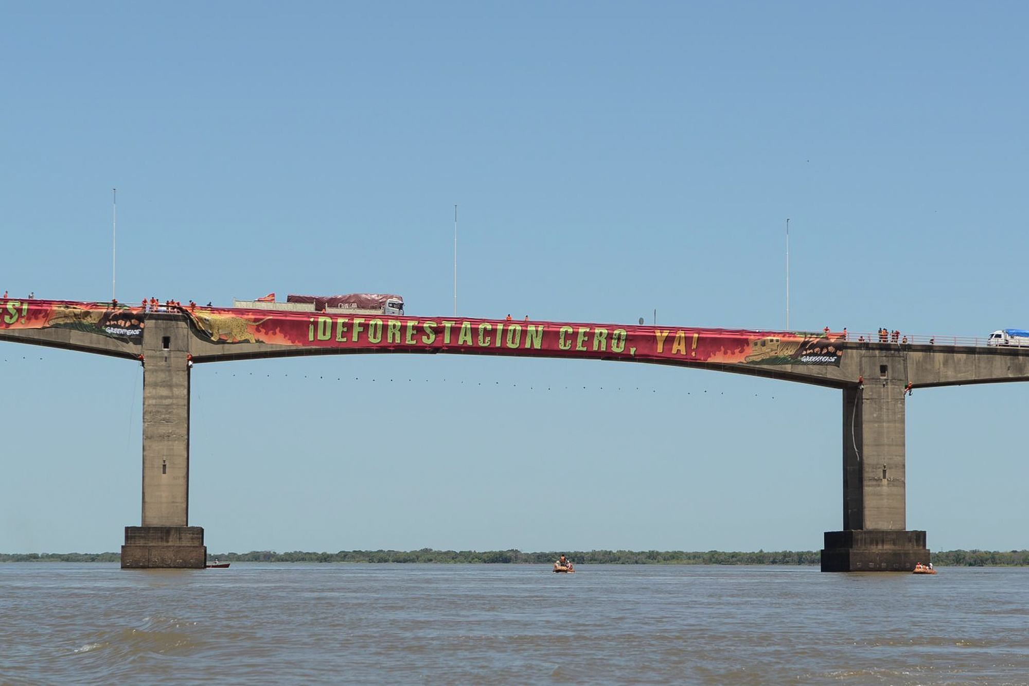 A 35 metros de altura, activistas de Greenpeace resistieron durante 13 horas contra la deforestación 