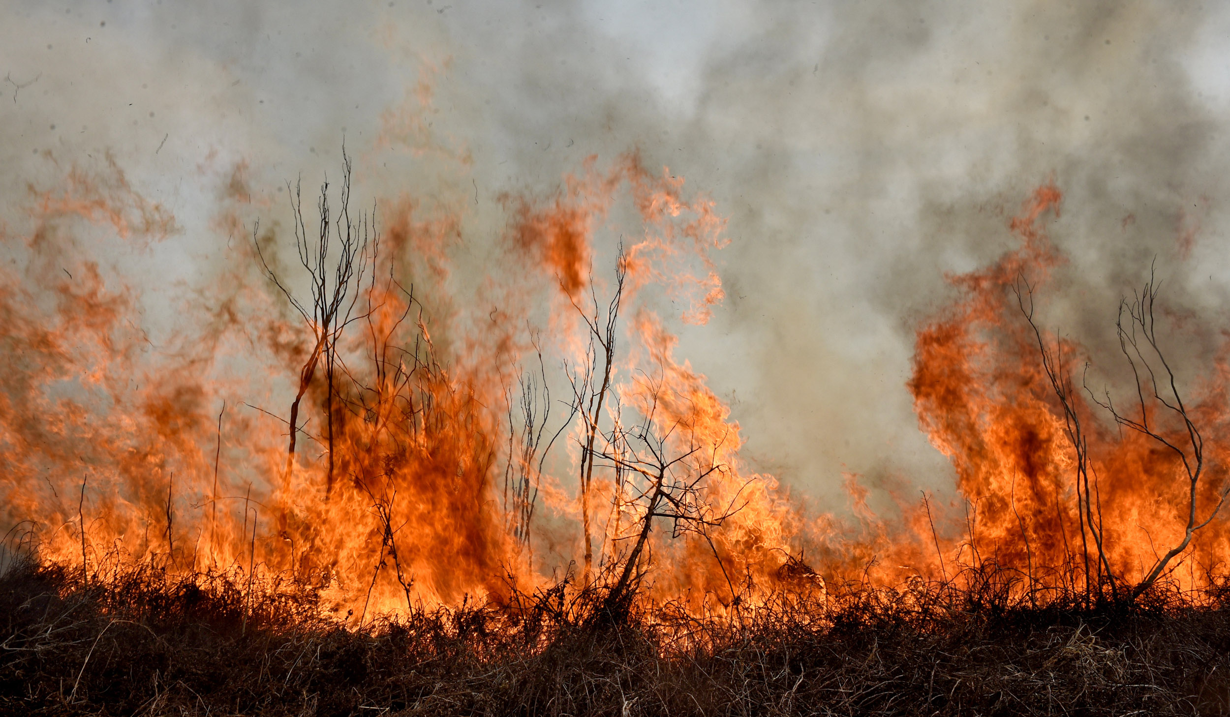 Incendio